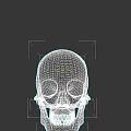 Anatomical Human Skull With Detailed Teeth And Front Facial View