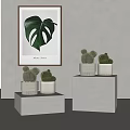 Cactus Potted Plants Interior Decor With White Cube Pedestals And Monstera Leaf Painting