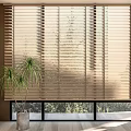 Light Brown Blinds In Modern Room With Green Plants And Natural Light