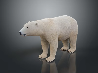 Realistic Polar Bear Standing Posture With Thick White Fur And Detailed Features 3d model