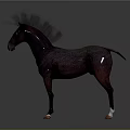 Dark Brown Horse With White Hooves Standing On Gray Background