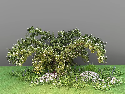 Lush Green Bush With White Flowers Surrounded By Purple And White Blooms On Green Grass 3d model