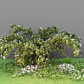 Lush Green Bush With White Flowers Surrounded By Purple And White Blooms On Green Grass