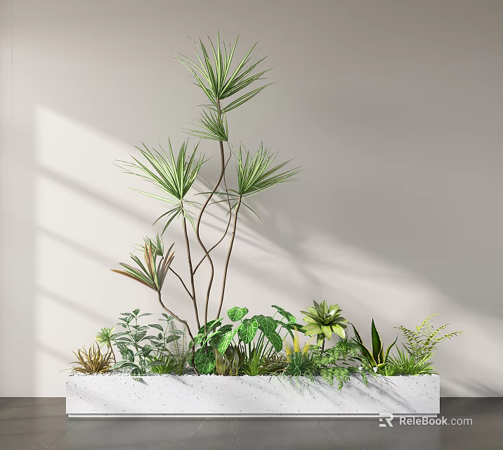 Modern Various Potted Plants In White Rectangular Planter With Greenery And Sunlight Shadows 3d model