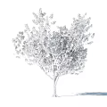 Healthy Flourishing Arbor Tree With Lush Green Foliage And Pink Blossoms