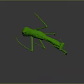Detailed Green Mantis in Lifelike 3D Render With Dynamic Posture