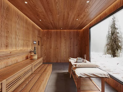 SPA Sauna Room With Wooden Interior And Snow View 3d model