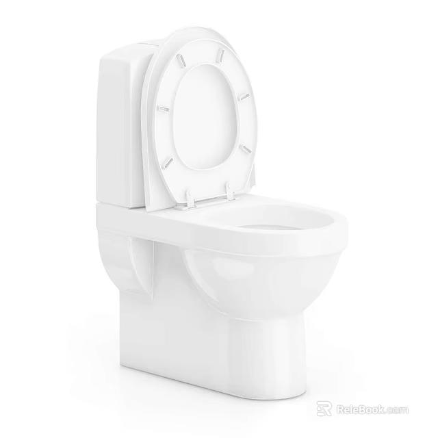 White Modern Toilet With Open Lid For Clean Contemporary Bathroom Design 3d model 