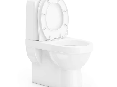White Modern Toilet With Open Lid For Clean Contemporary Bathroom Design 3d model
