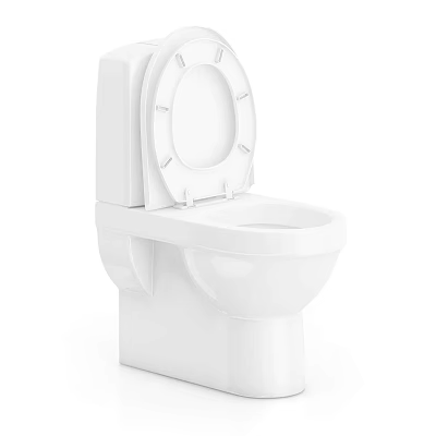 White Modern Toilet With Open Lid For Clean Contemporary Bathroom Design 3d model