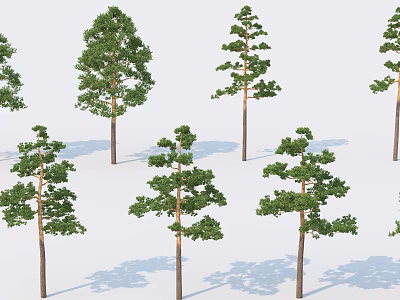 Multiple Tall Green Arbor Trees Featuring Lush Foliage And Natural Shadows 3d model