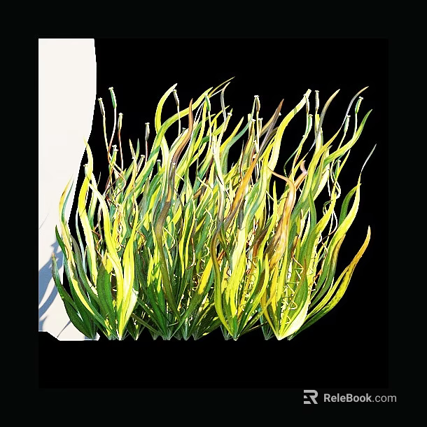 Dense Cluster of Aquatic Plants with Green Yellow Long Slender Curved Leaves 3d model 