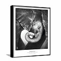 Modern Animal Painting Grey Study Animal Elephant Decorative Painting 3d model