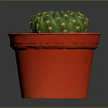 Decorative Green Cactus Houseplant With Yellow Spines In Red Pot And Brown Pebbles