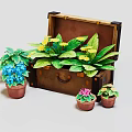 Potted Plants in Open Vintage Wooden Trunk with Small Flower Pots