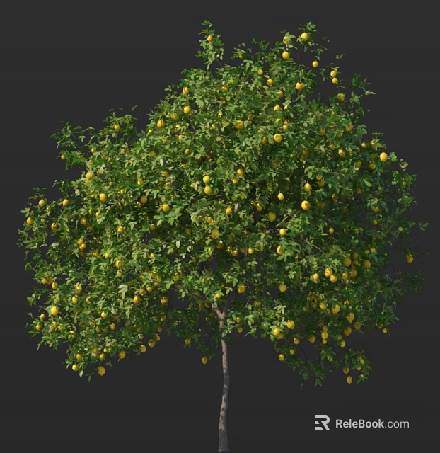 Lush Fruit Arbor With Abundant Yellow Fruits And Green Leaves On Branches 3d model 