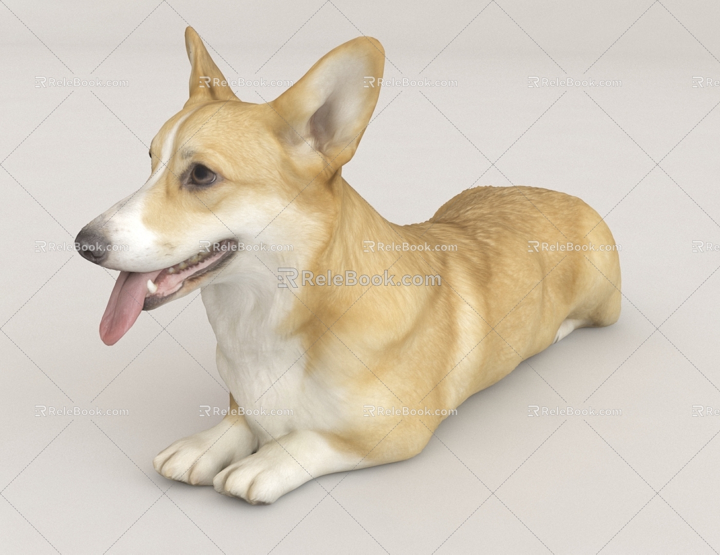 Corgi Pet Dog 3d model