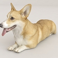 Corgi Pet Dog 3d model