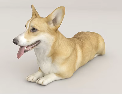 Cute Corgi Dog Laying Down With Tongue Out 3d model