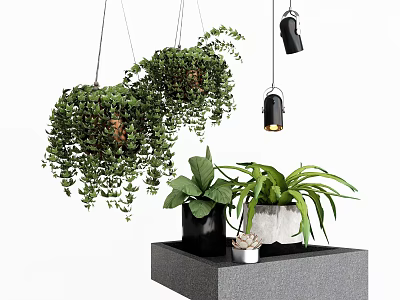 Lush Green Hanging Basket Plants With Potted Greenery On Gray Decorative Platform 3d model