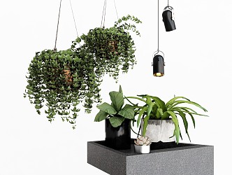 Modern Hanging Basket Plant Combination Hanging Plant Green Plant Potted Plant Ornaments Chandelier Banana Leaf 3d model