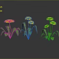 Yellow Flowering Dandelion Plants With Green Stems Leaves And Reflections On Gray Background