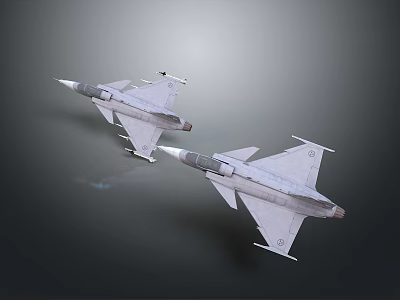 Two Gray Fighter Jets Flying Side by Side Against Gray Background 3d model
