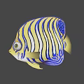Vibrant Yellow And Blue Striped Tropical Fish With Artistic Design Elements