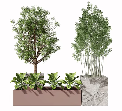 Bonsai Potted Plants Featuring Tree Greenery Bamboo And Small Leafy Plants In Brown Stone Planters 3d model