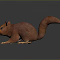 Squirrel Cartoon Squirrel Animation Squirrel Animation Squirrel Cartoon Characters Cartoon Animals Cartoon Small Animals 3d model