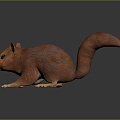 Squirrel Cartoon Squirrel Animation Squirrel Animation Squirrel Cartoon Characters Cartoon Animals Cartoon Small Animals 3d model