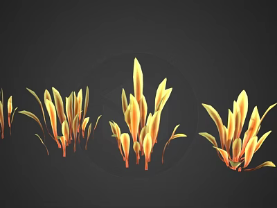 Yellow and Orange Plants with Slender Leaves on Black Background in Various Clusters 3d model
