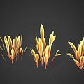 Yellow and Orange Plants with Slender Leaves on Black Background in Various Clusters
