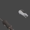 Detailed Realistic Gray And White Mice Figurines With Lifelike Features On Black Background