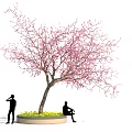 Elegant Pink Blossom Tree with People Standing and Sitting by Yellow Flower Bed