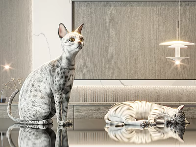 Two Cats in Modern Interior with Shiny Surface One Sitting Alert and One Lying Asleep 3d model