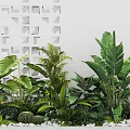 Lush Garden With Tropical Green Plants Geometric White Wall And White Pebbles