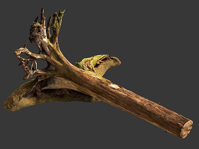 Organic Stone and Wood Tree Root Sculpture with Lush Green Moss Accents 3d model