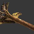 Organic Stone and Wood Tree Root Sculpture with Lush Green Moss Accents