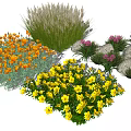 Colorful Diverse Garden Flowers Featuring Orange Yellow Purple Blooms And Grasses