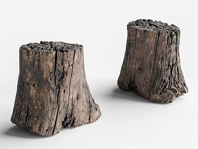 Rustic Wooden Tree Stump Stools with Natural Texture and Rough Surface 3d model