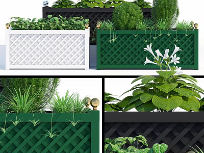Decorative Garden Planters Featuring Lattice Design White Green Black And Fresh Herbs Flowers Foliage 3d model