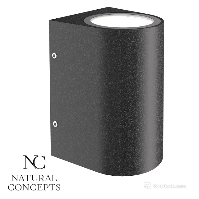Black Outdoor Light With Durable Weatherproof Exterior And Mounting Design 3d model 