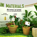 Raw Materials Display With Potted Plants Baskets And Wooden Crates In Green Setting