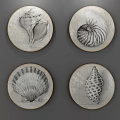 Modern Shower Sauna Decor Featuring Four Circular Shell Artworks On Wall 3d model