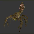 Scary Hairy Spider Like Monster Creature With Multiple Legs And Orange Back Spots