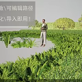 Lush Green Shrubs in Well Designed Garden Landscape with Pathway and Plants