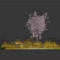 Blooming Pink Flowering Tree On Small Island With Yellow Grass And Falling Petals