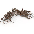 Natural Dried Arbor Branches Featuring Rustic Twisted Texture For Decorative Use 3d model