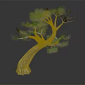 Unique Curved Trunk Tree With Lush Green Foliage Against Dark Background With Reflection